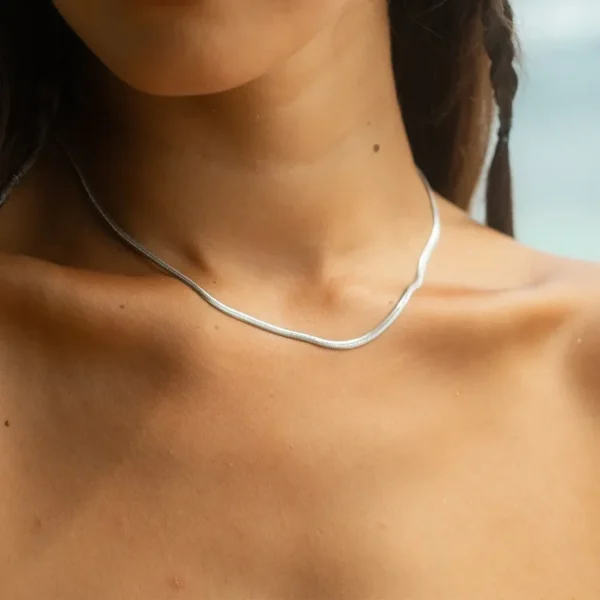 SILVER SIMPLE SNAKE NECKLACE