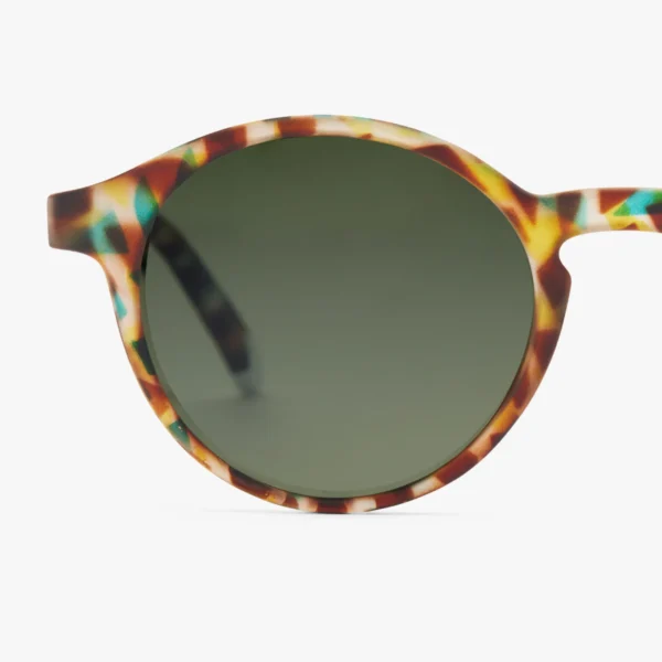Le Marais Sun Light Tortoise - Image 3